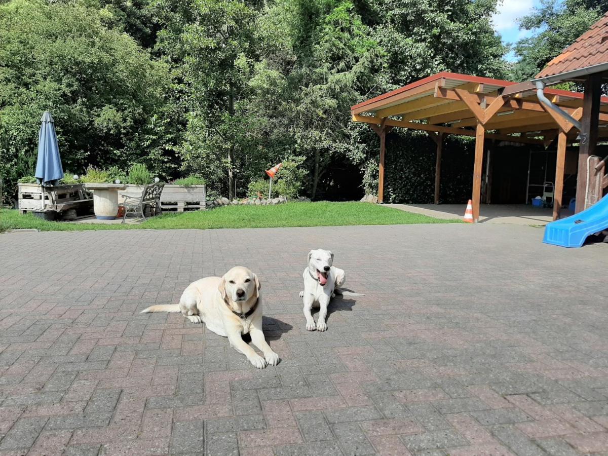 Ferienzimmer Sudheide Beckedorf  Luaran gambar